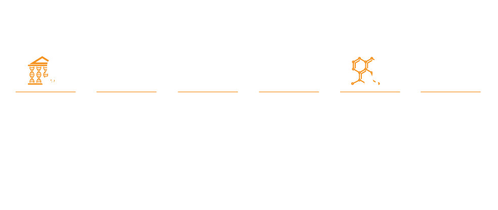 ISBERDelegates2025-2